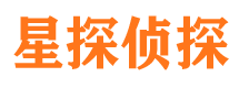 陆丰侦探公司